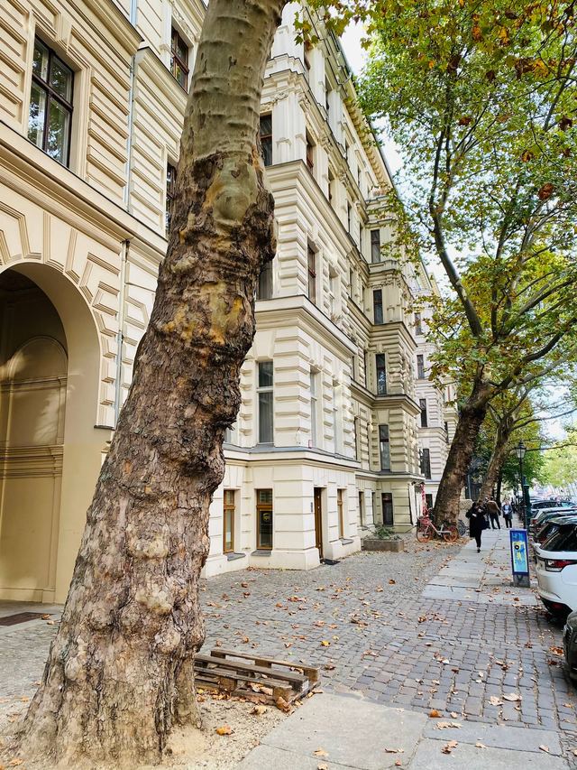 Ruhige Seitenstraße mit Altbauten im Kollwitzkiez
